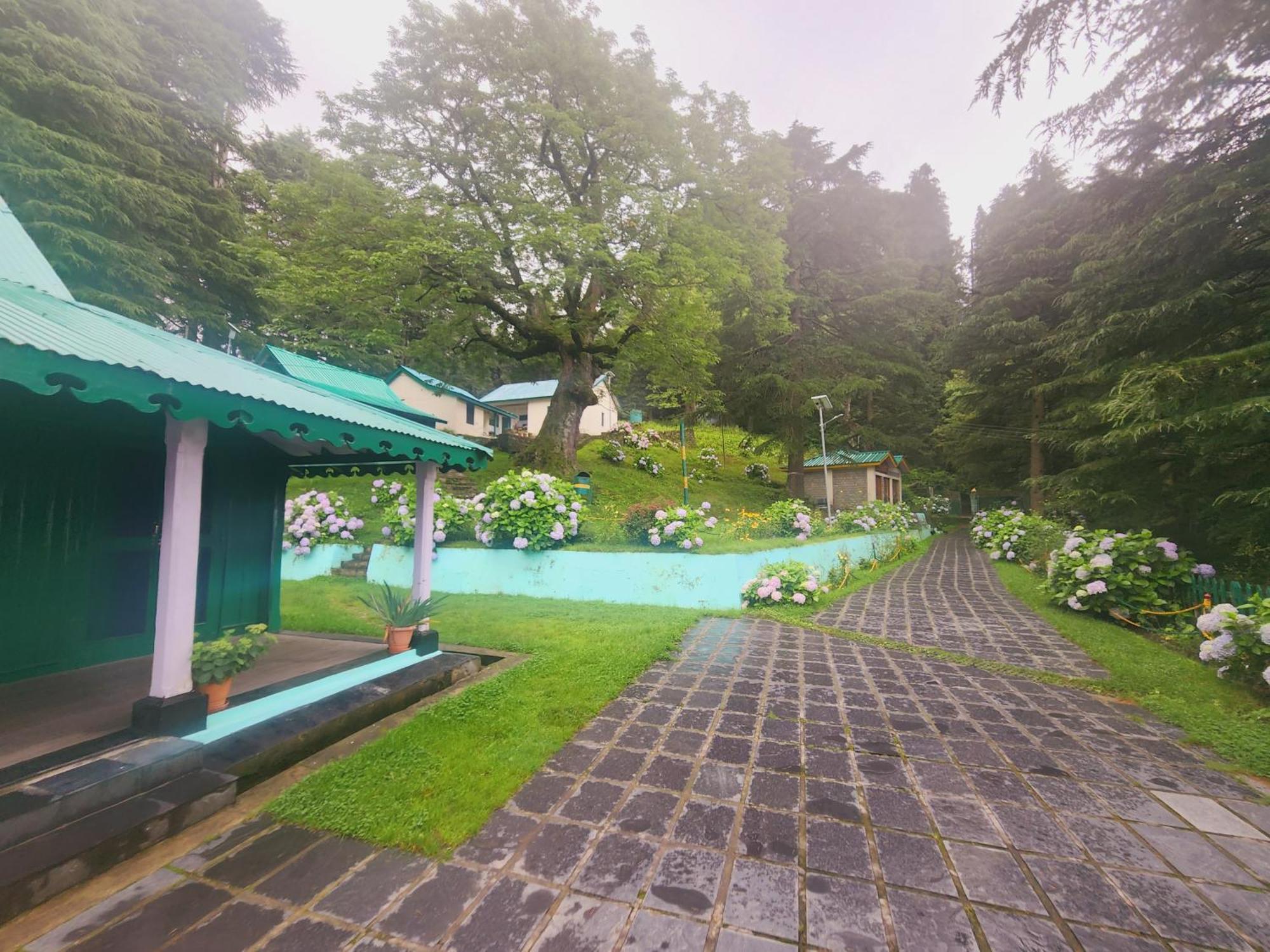 ホテル Smarthill Kalatop-Nature'S Heaven ダルハウジ エクステリア 写真