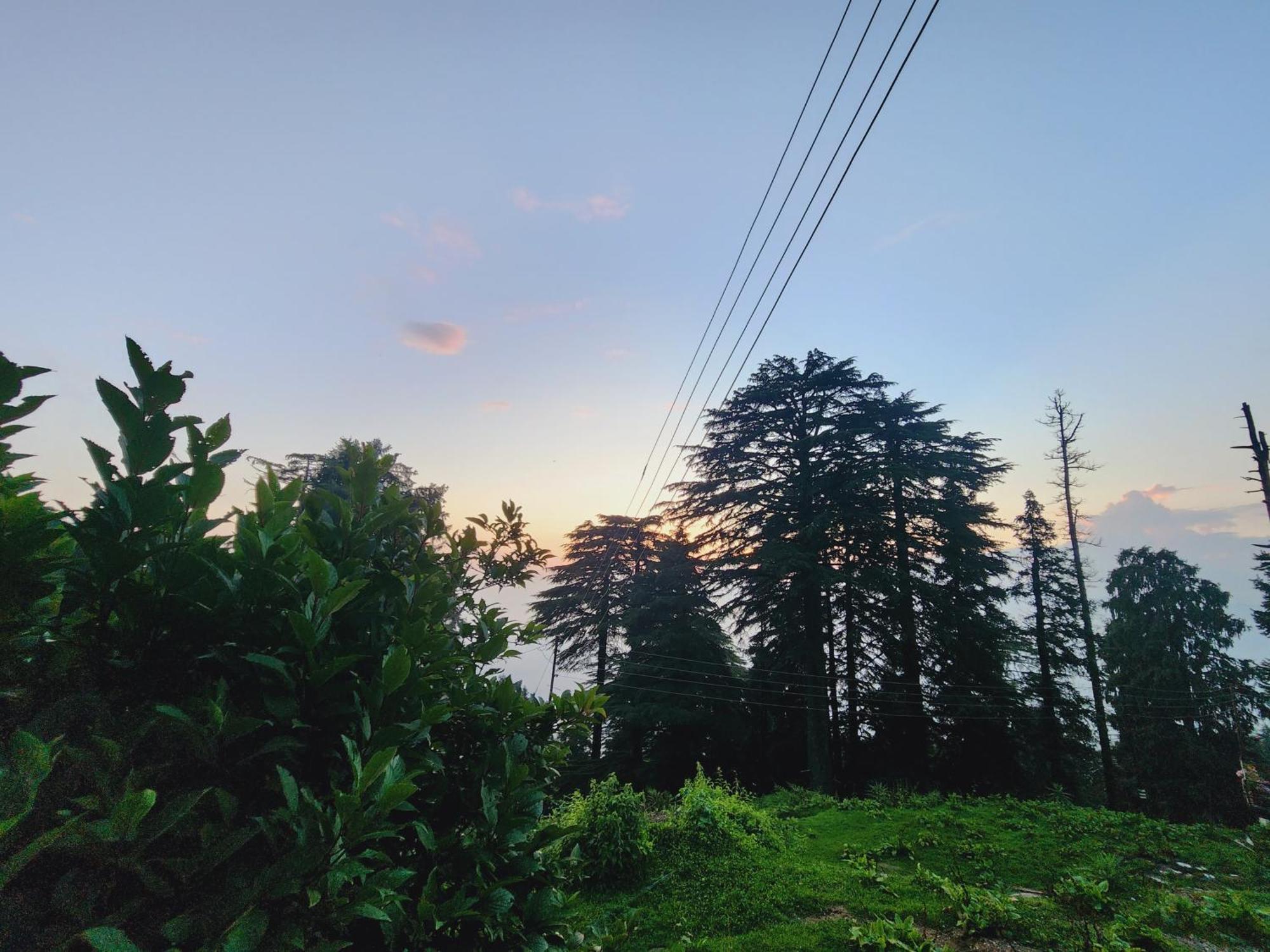 ホテル Smarthill Kalatop-Nature'S Heaven ダルハウジ エクステリア 写真